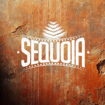 Competencia interna Sequoia Box